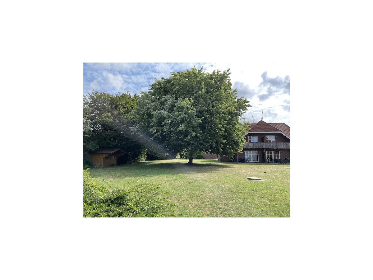 Apartment Einladende Ferienwohnung auf Fehmarn