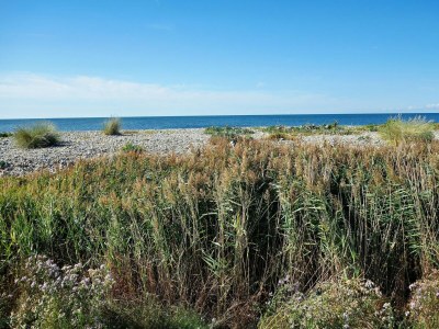 Apartment Einladende Ferienwohnung auf Fehmarn - Environment photo 35