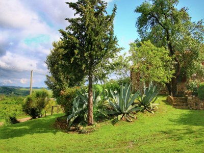 Farmhouse Farmhouse in Val d'Orcia Charm - Outdoor photo 2