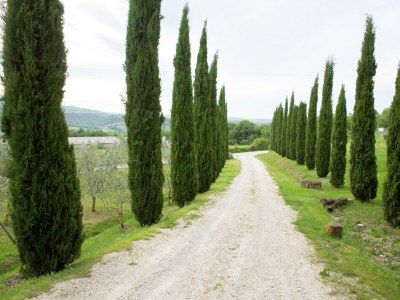 Farmhouse Scenic Tuscan Farmhouse - Environment photo 33