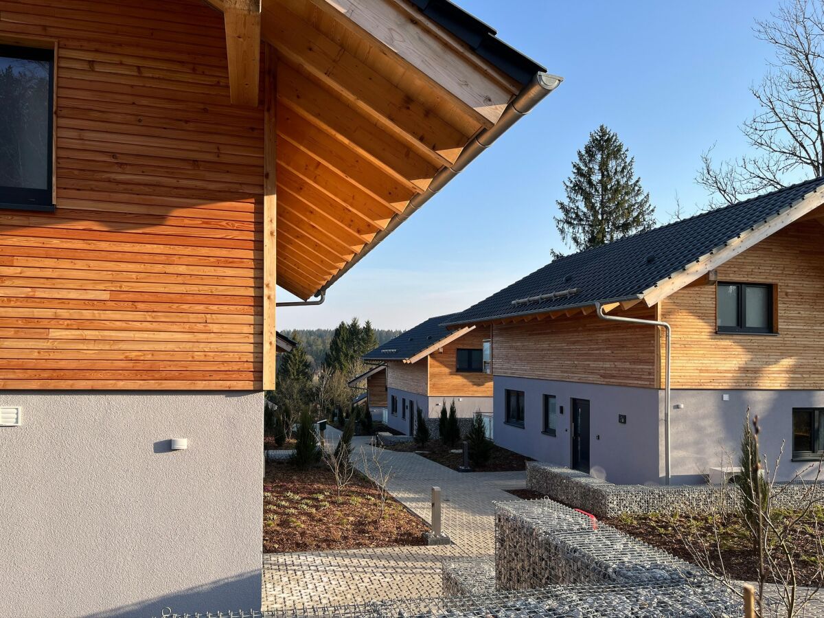 Holiday house modernes Chalet in Hahnenklee - Outdoor photo 5