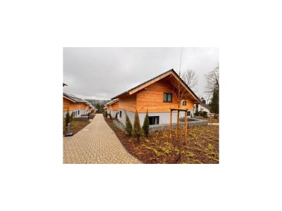 Holiday house modernes Chalet in Hahnenklee - Outdoor photo 3