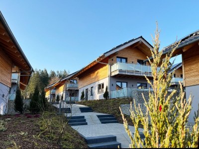 Holiday house modernes Chalet in Hahnenklee - Outdoor photo 4