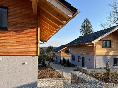 Holiday house modernes Chalet in Hahnenklee - Outdoor photo 5