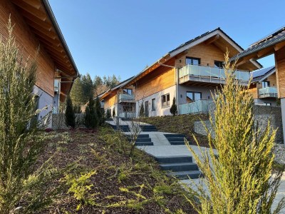 Holiday house modernes Chalet in Hahnenklee - Outdoor photo 6