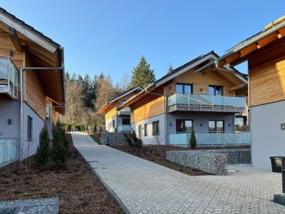 Holiday house modernes Chalet in Hahnenklee - Outdoor photo 7