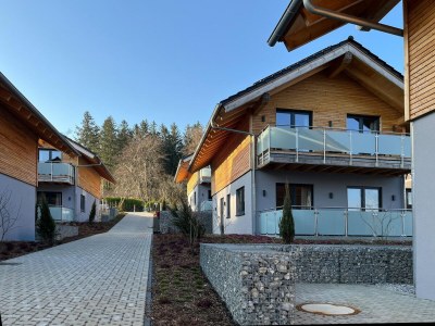 Holiday house modernes Chalet in Hahnenklee - Outdoor photo 8
