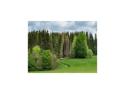 Holiday house Exklusives Chalet in Buntenbock - Environment photo 27