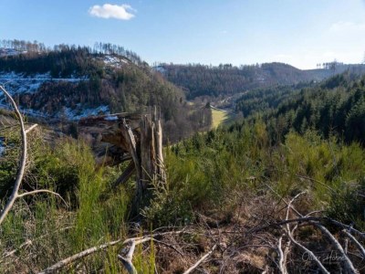 Apartment Luxus-Auszeit am Mill Pond - Environment photo 27