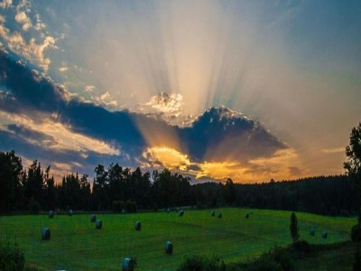 Apartment Luxus-Auszeit am Mill Pond - Environment photo 32