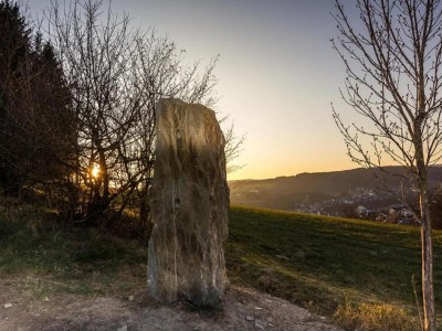 Apartment Luxus-Auszeit am Mill Pond - Environment photo 34