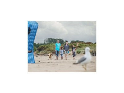 Holiday park Reihenhaus im Ostseeresort Dampland - Environment photo 24