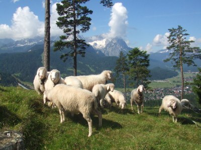 Holiday apartment Wank - Environment photo 11