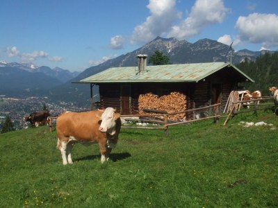 Holiday apartment Wank - Environment photo 13