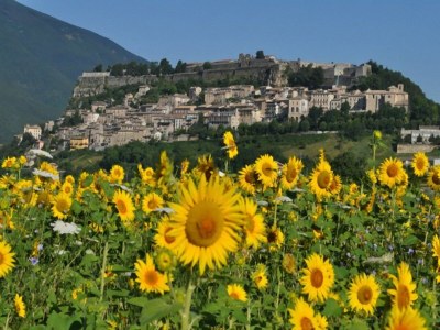 Villa Villa in Case Alte with Heated Pool & Spa - Environment photo 33