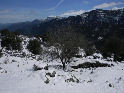 Holiday house Landhaus in Andalusien nahe Tiñosa Gipfel - Environment photo 33