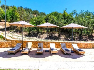 Holiday house Holiday home in Carcabuey with private pool - Outdoor photo 12