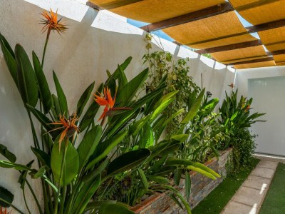 Holiday house Charmantes Haus im Zentrum von Andalusien - Outdoor photo 23