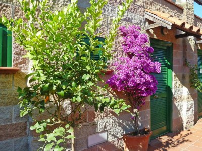 Holiday park Apartment in Bagnaia near Gulf of Portoferraio - Outdoor photo 9