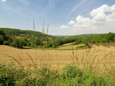 Holiday house Cottage in Corrèze with Garden Views - Environment photo 20