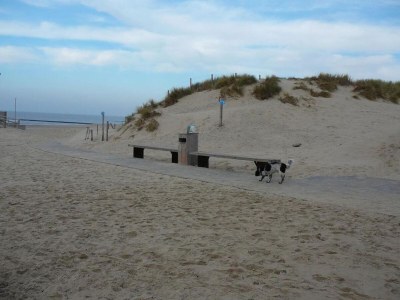 Holiday park Wohnung in Nordholland am Strand - Environment photo 32