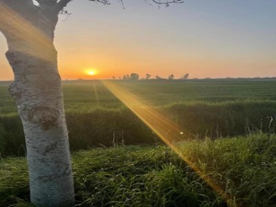 Holiday house Barn Stay with Soul in Noordgouwe - Environment photo 25