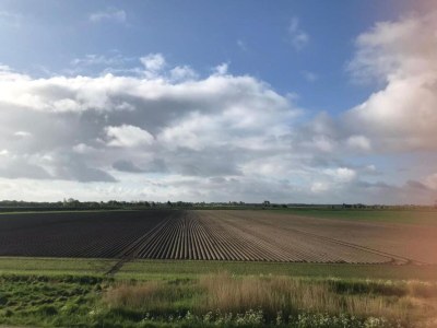 Holiday house Barn Stay with Soul in Noordgouwe - Environment photo 26