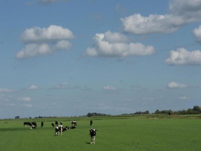 Holiday house Barn Stay with Soul in Noordgouwe - Environment photo 27