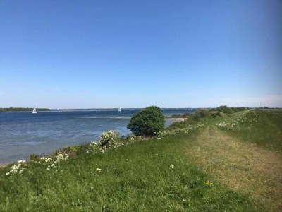 Holiday house Barn Stay with Soul in Noordgouwe - Environment photo 28