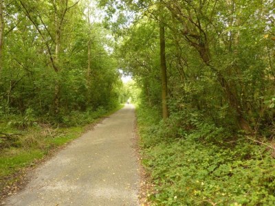 Holiday house Barn Stay with Soul in Noordgouwe - Environment photo 30