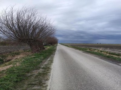 Holiday house Barn Stay with Soul in Noordgouwe - Environment photo 31