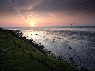 Holiday house Barn Stay with Soul in Noordgouwe - Environment photo 32