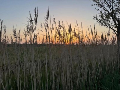 Holiday house Barn Stay with Soul in Noordgouwe - Environment photo 33