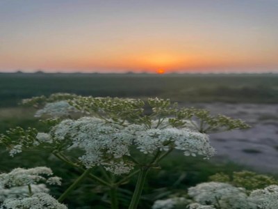 Holiday house Barn Stay with Soul in Noordgouwe - Environment photo 36