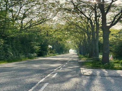 Holiday house Barn Stay with Soul in Noordgouwe - Environment photo 37