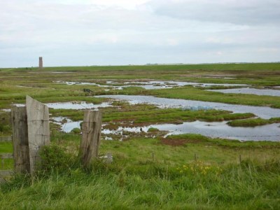 Holiday house Barn Stay with Soul in Noordgouwe - Environment photo 38