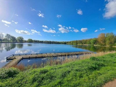 Holiday park Pet-Friendly Getaway - Environment photo 21