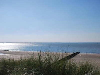 Holiday park Holiday Home in Zeeland near Lake & Sauna - Environment photo 10