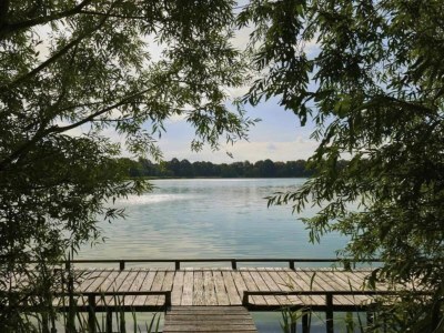 Holiday park Holiday Home in Zeeland near Lake & Sauna - Environment photo 14