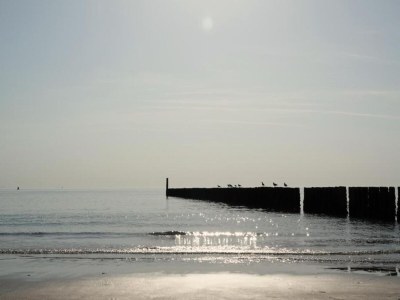 Holiday park Holiday Home in Zeeland near Lake & Sauna - Environment photo 18