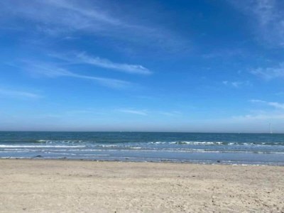 Holiday park Ferienhaus in Zeeland mit großem Garten - Environment photo 10