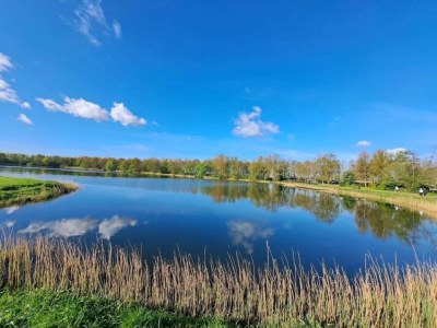 Holiday park Ferienhaus in Zeeland mit großem Garten - Environment photo 16