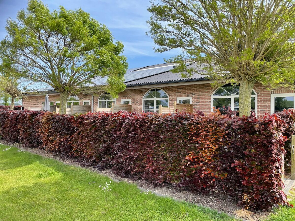 Apartment Wohnung in Groede nahe Strand - Outdoor photo 2