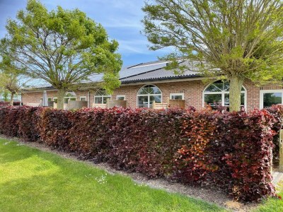 Apartment Wohnung in Groede nahe Strand - Outdoor photo 2