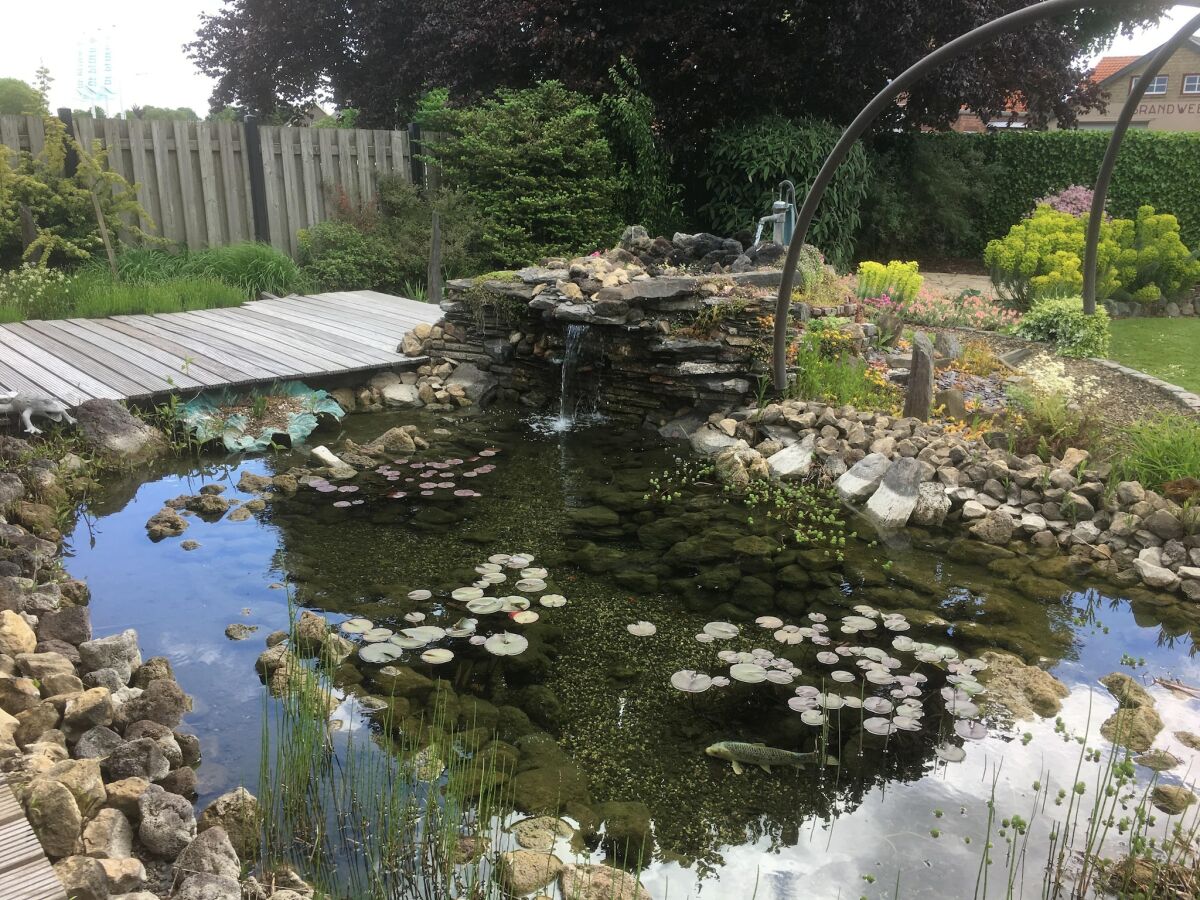 Holiday house Holiday Home in Groede near Sandy Beach - Outdoor photo 2