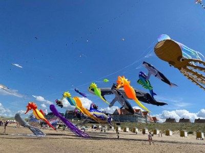 Apartment Wohnung in Groede nahe am Strand - Environment photo 9