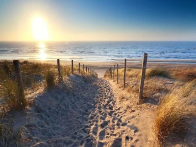 Apartment Wohnung in Groede nahe am Strand - Environment photo 10