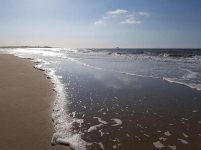 Apartment Wohnung in Groede nahe am Strand - Environment photo 13