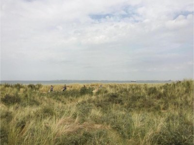 Apartment Wohnung in Groede nahe am Strand - Environment photo 19