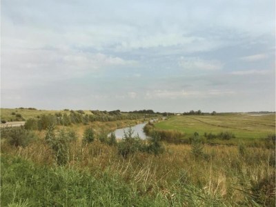 Apartment Wohnung in Groede nahe am Strand - Environment photo 22